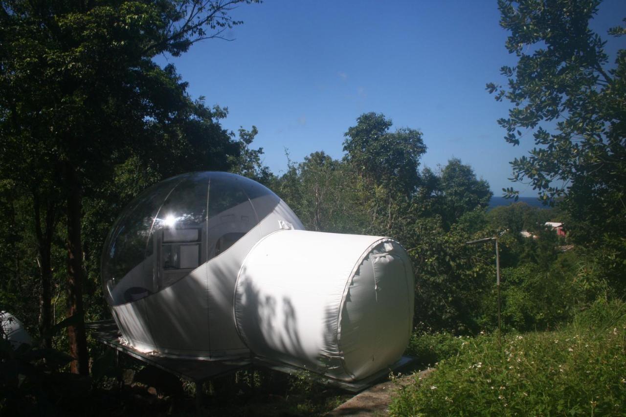 Maisons Bulles Deluxe Otel Bouillante Dış mekan fotoğraf