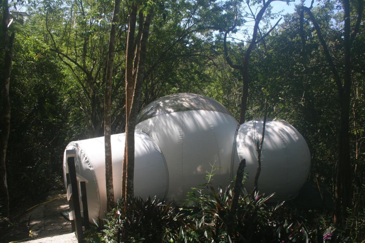 Maisons Bulles Deluxe Otel Bouillante Dış mekan fotoğraf